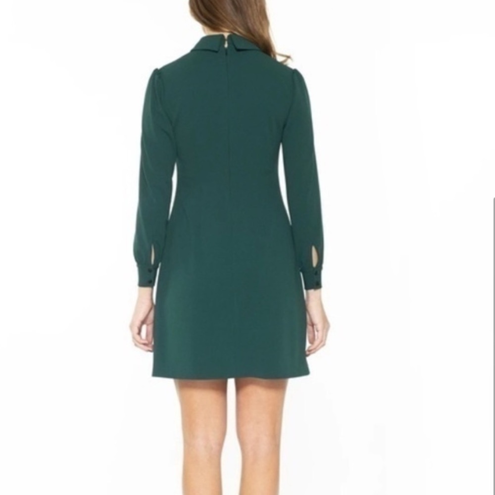 Alexia Admor Dress - Picture 2 of 2